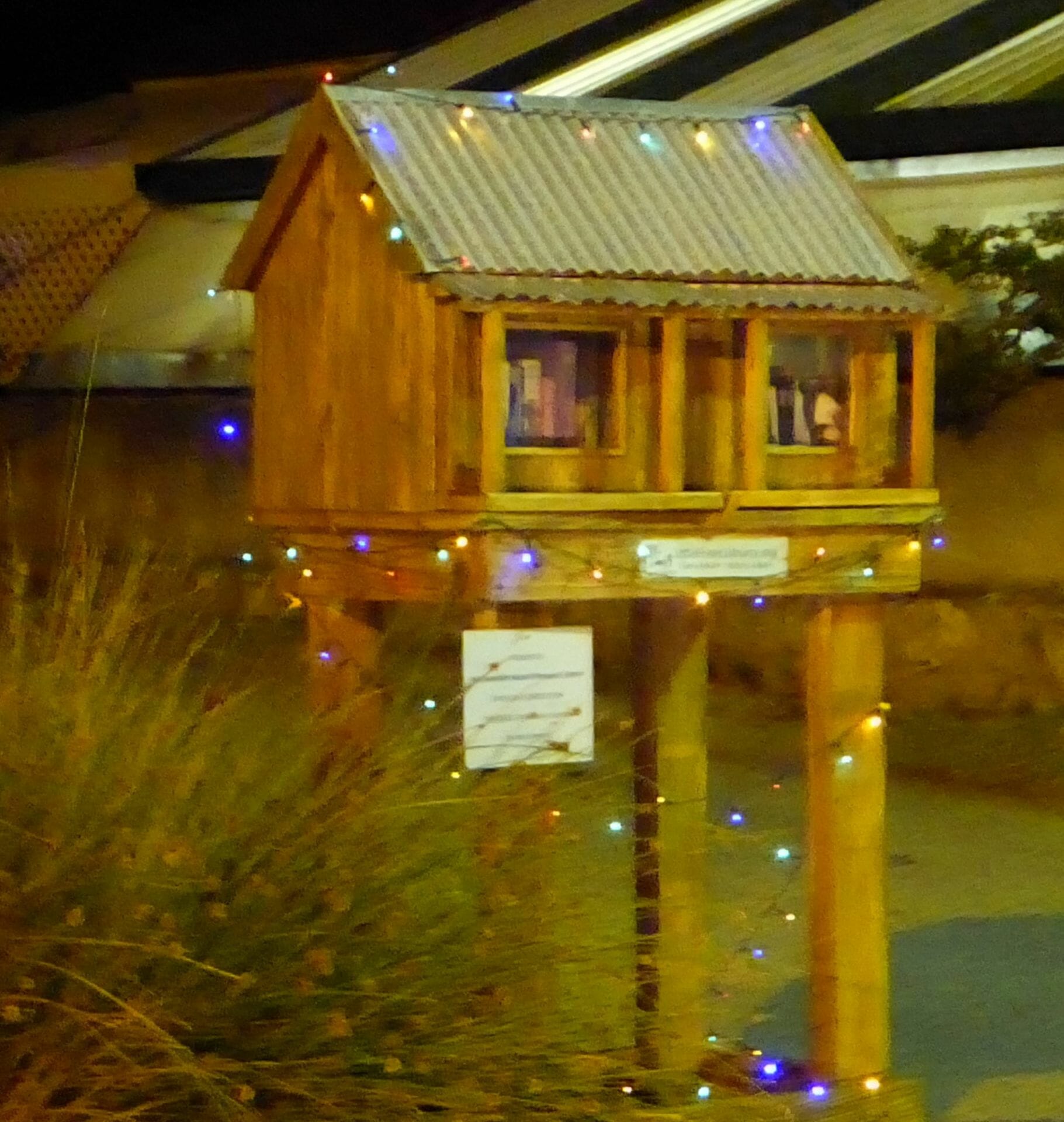 P1000227-cropped