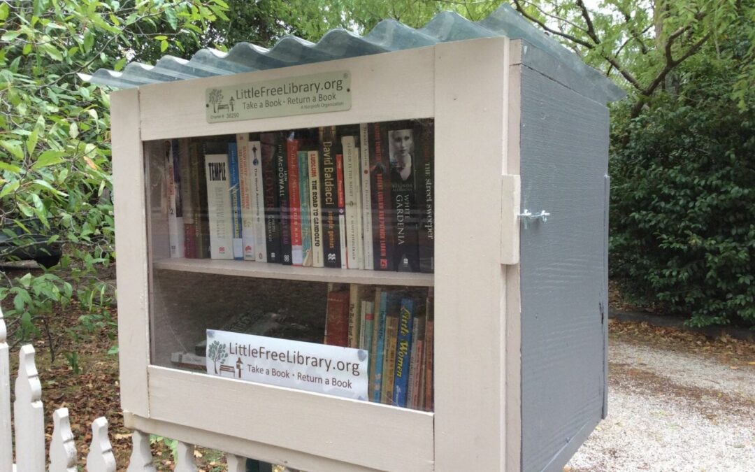 Marina’s Little Library