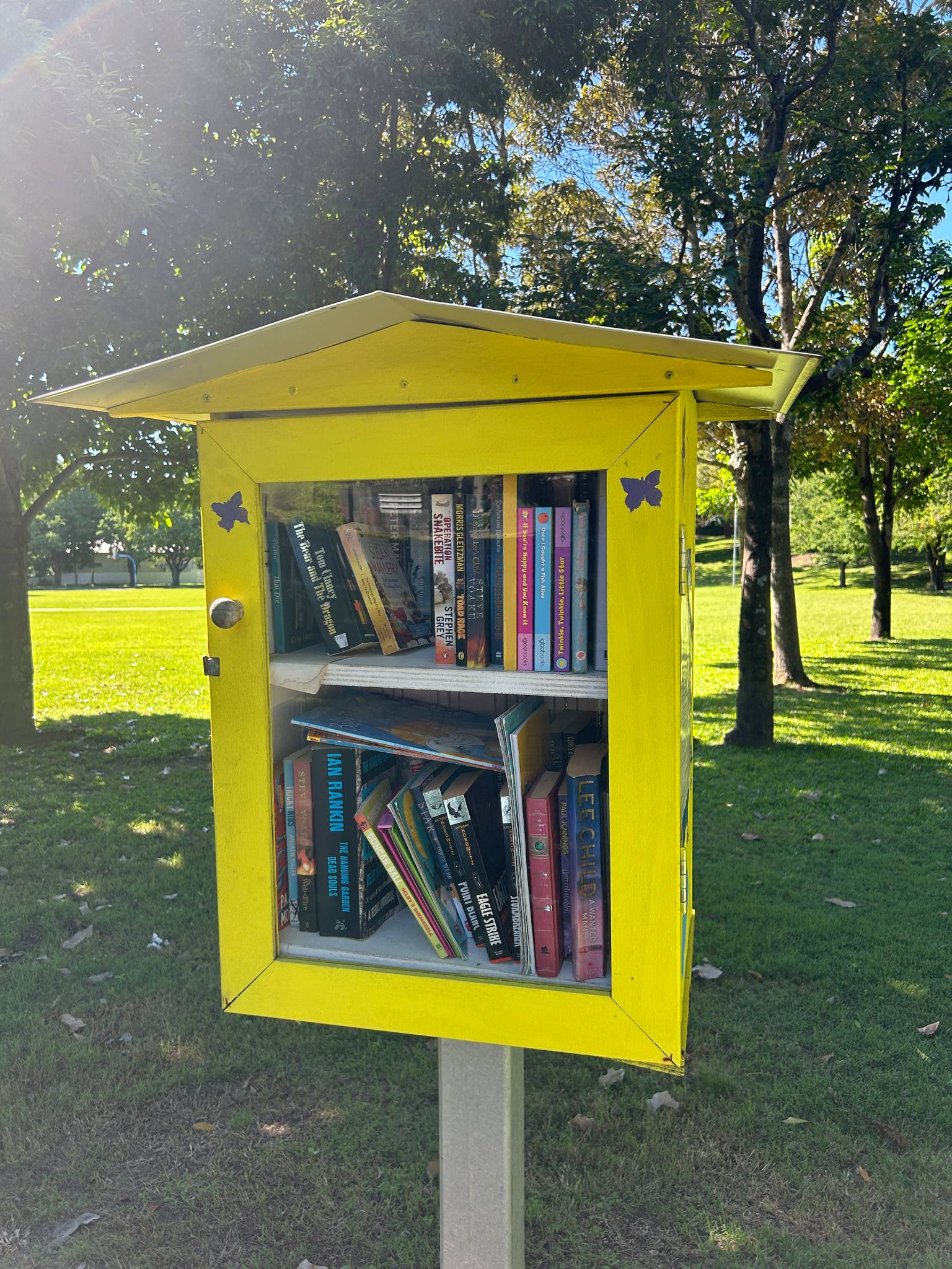 Taringa Playground Park