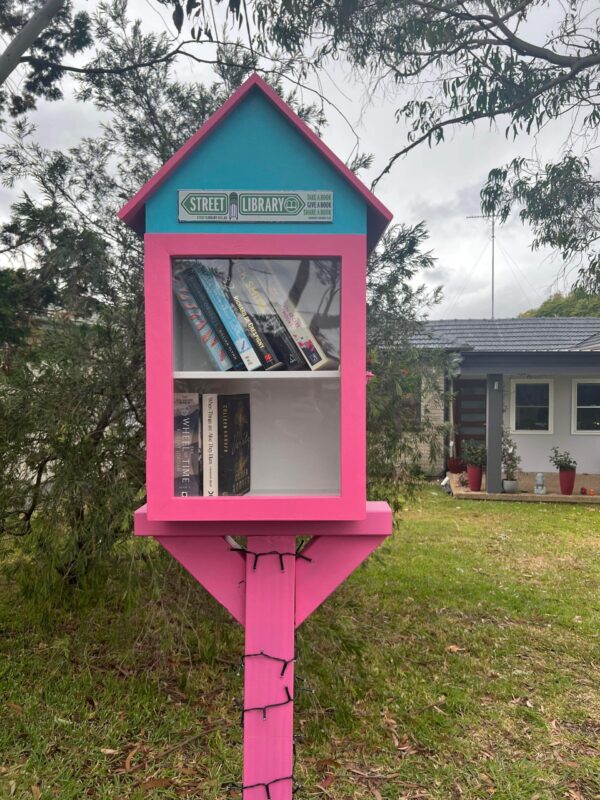 The Big Pete Street Library - Includes Free Plaque - Image 7