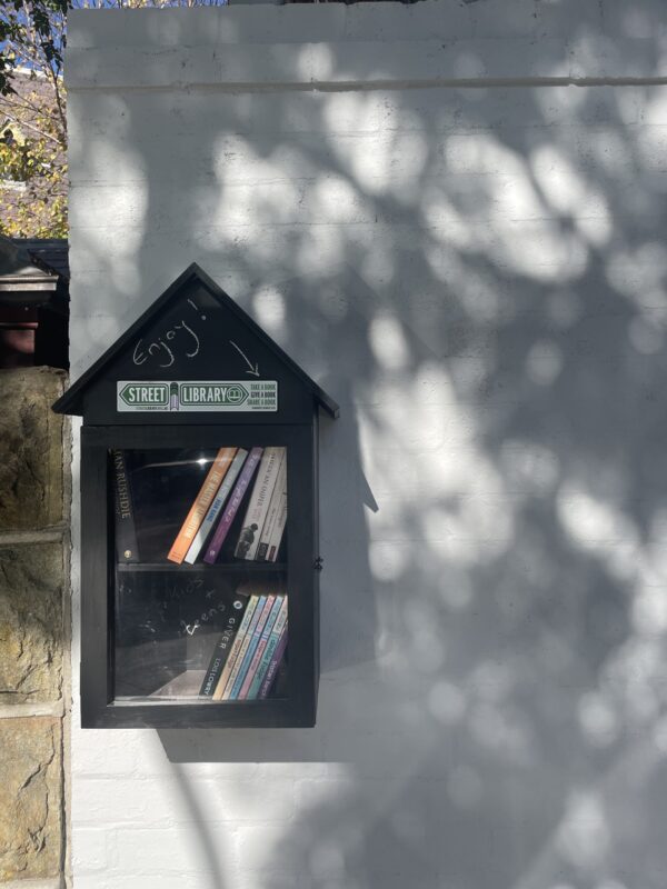 The Big Pete Street Library - Includes Free Plaque - Image 9
