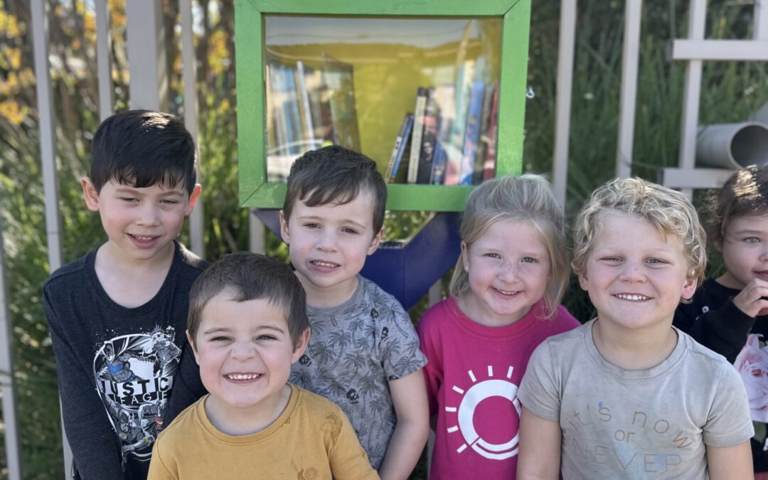 Calling Future Street Librarians in the Sutherland Shire