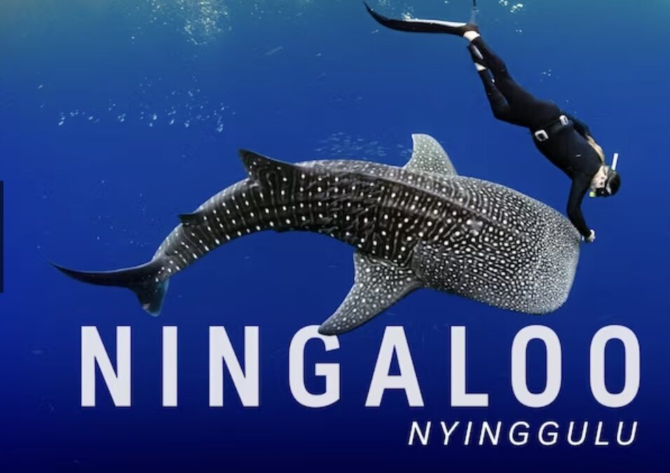 One of the last intact wild places left on earth. Ningaloo through the eyes of writer Tim Winton – ABC Sydney