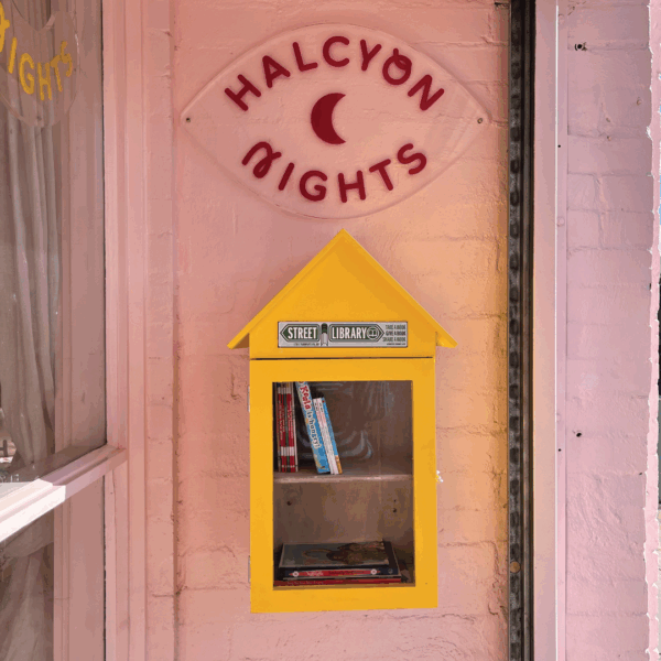 The Big Pete Street Library - Includes Free Plaque - Image 6