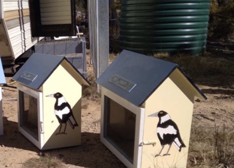 Street libraries born of bushfire pain