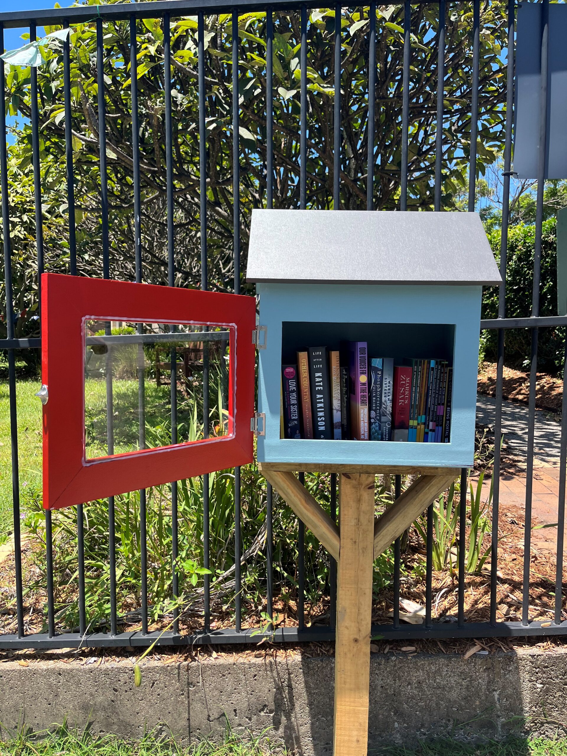 Street-Library-Photo-Jan-22-2025-4MB
