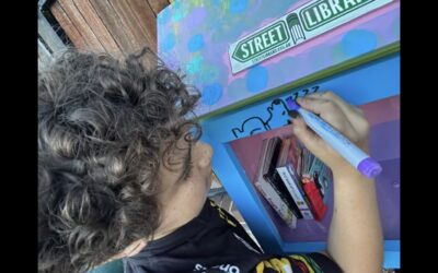 Street Library of the Moment – One Book at a Time at SDN Hurstville