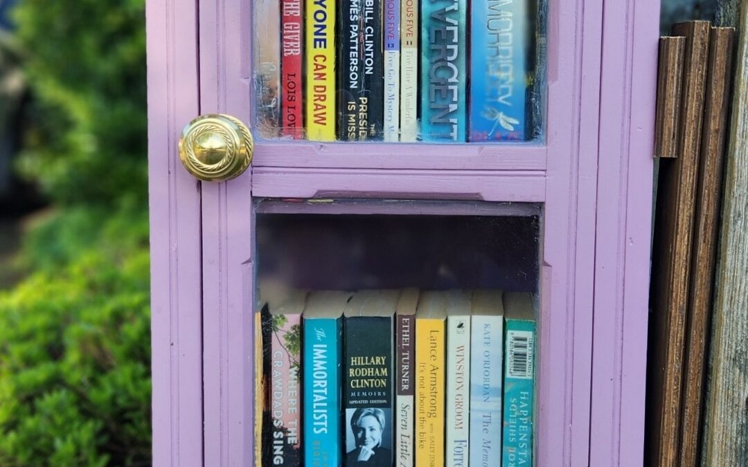 Devon Drive Street Library